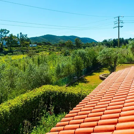 La Terrazza A Lacona - Ic Immobiliare * カポリーヴェリ